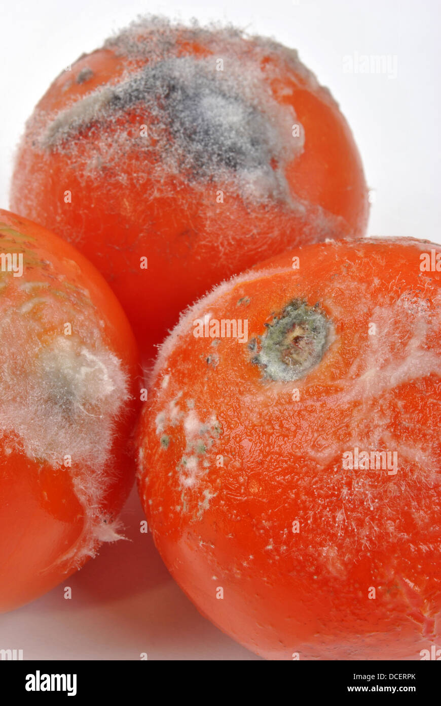Mouldy vegetables hires stock photography and images Alamy