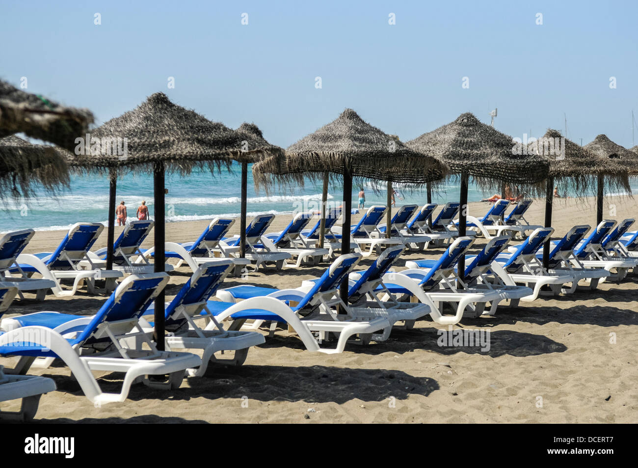 Palm tree sandy beach hi-res stock photography and images - Alamy