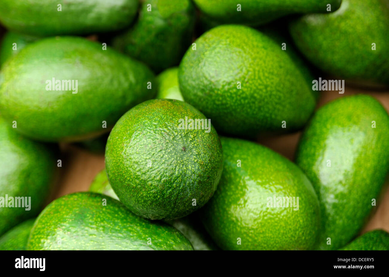 RIPE AVOCADOS FOR SALE ON A MARKET STALL Stock Photo