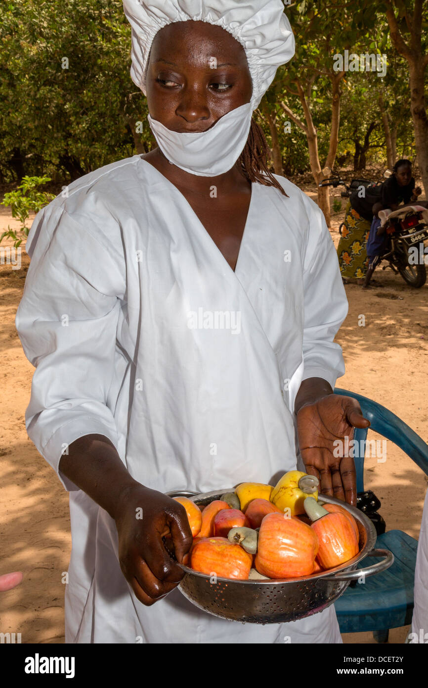 Farm Worker with Bowl of Cashew Apples Ready for Slicing. The Gambia Stock Photo