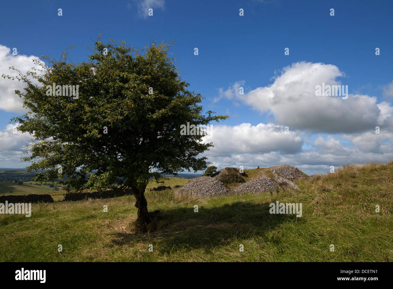 Cairn D on Carbane West, Loughcrew passage tombs complex, dating back to approximately 3500 and 3300 B.C. County Meath Ireland Stock Photo