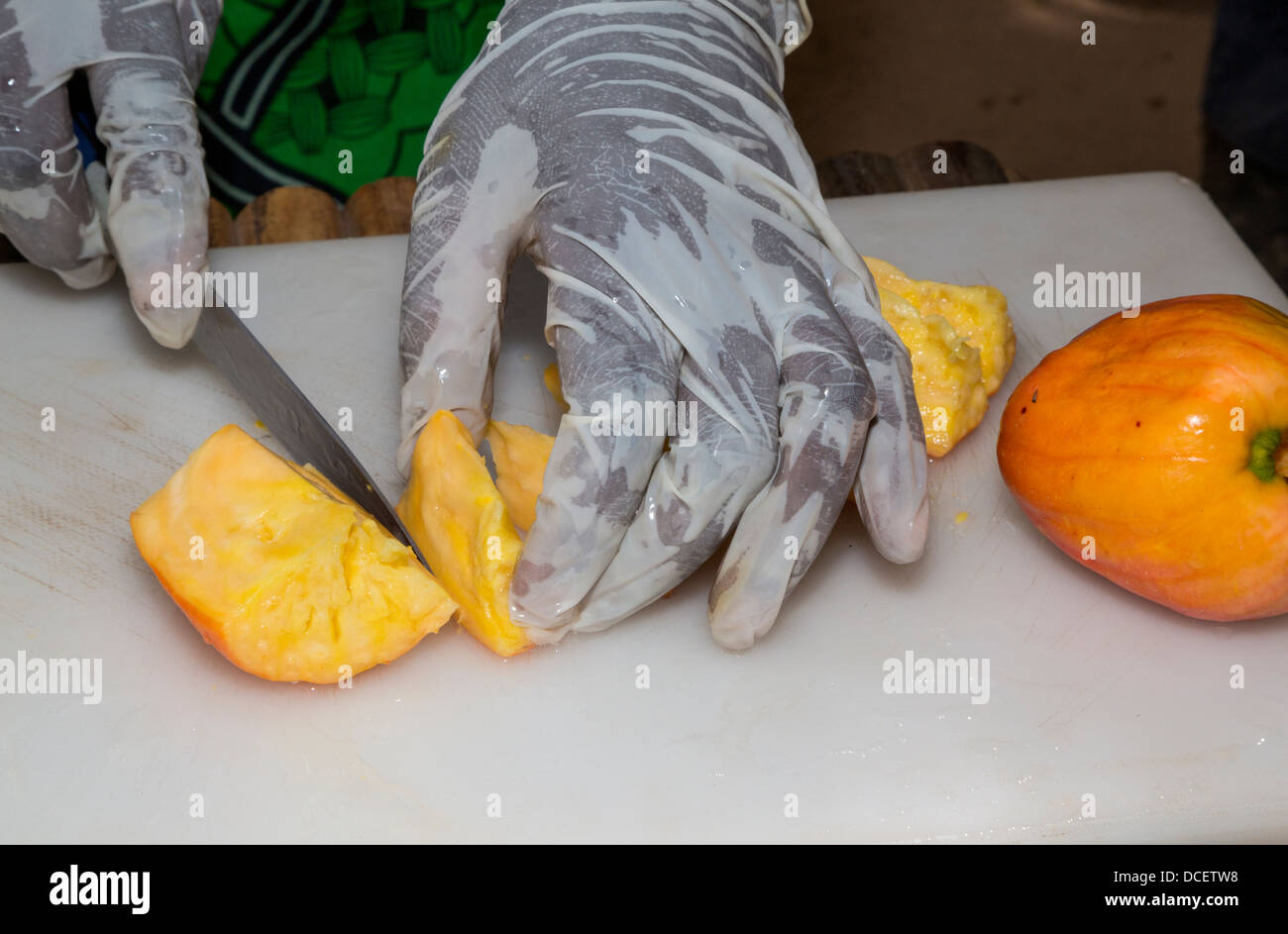 Farm Worker Slicing Cashew Apples, in Preparation for Drying. The Gambia. Stock Photo