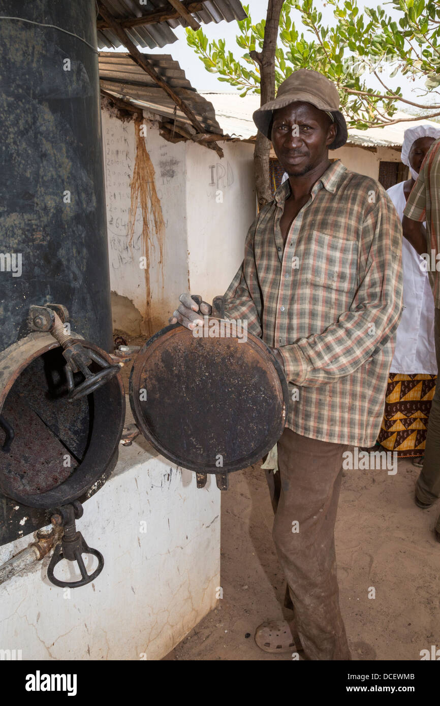 Farm Employee with Boiler for Drying Cashew Nuts. Mendy Kunda, North Bank Region, The Gambia Stock Photo