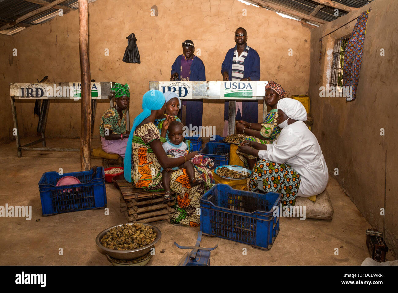Cashew Nut Processing Center, Group Dimbal Djabott, Mendy Kunda, North Bank Region, The Gambia Stock Photo