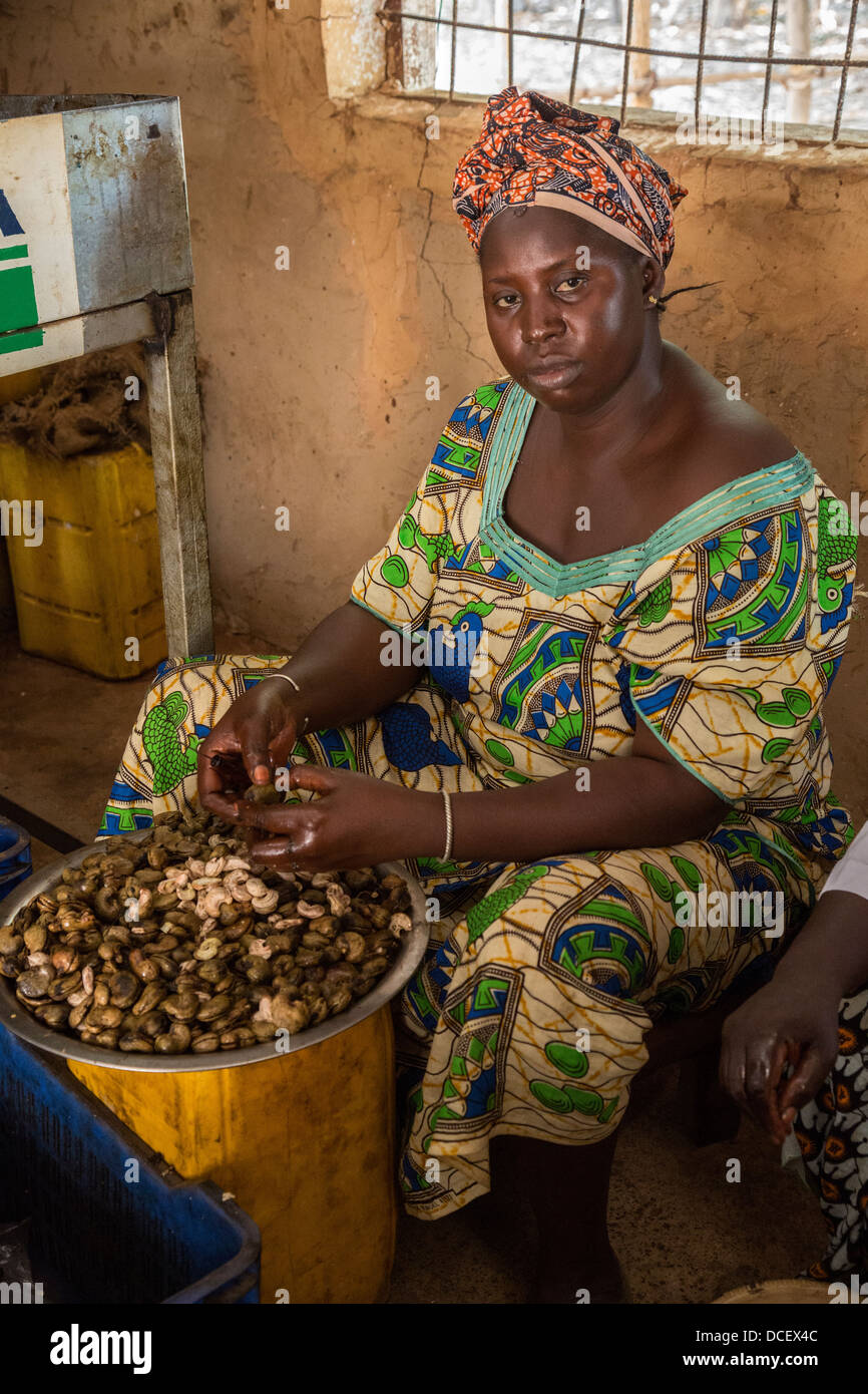 Woman Hulling Cashews at Cashew Nut Processing Center, Group Dimbal Djabott, Mendy Kunda, North Bank Region, The Gambia Stock Photo