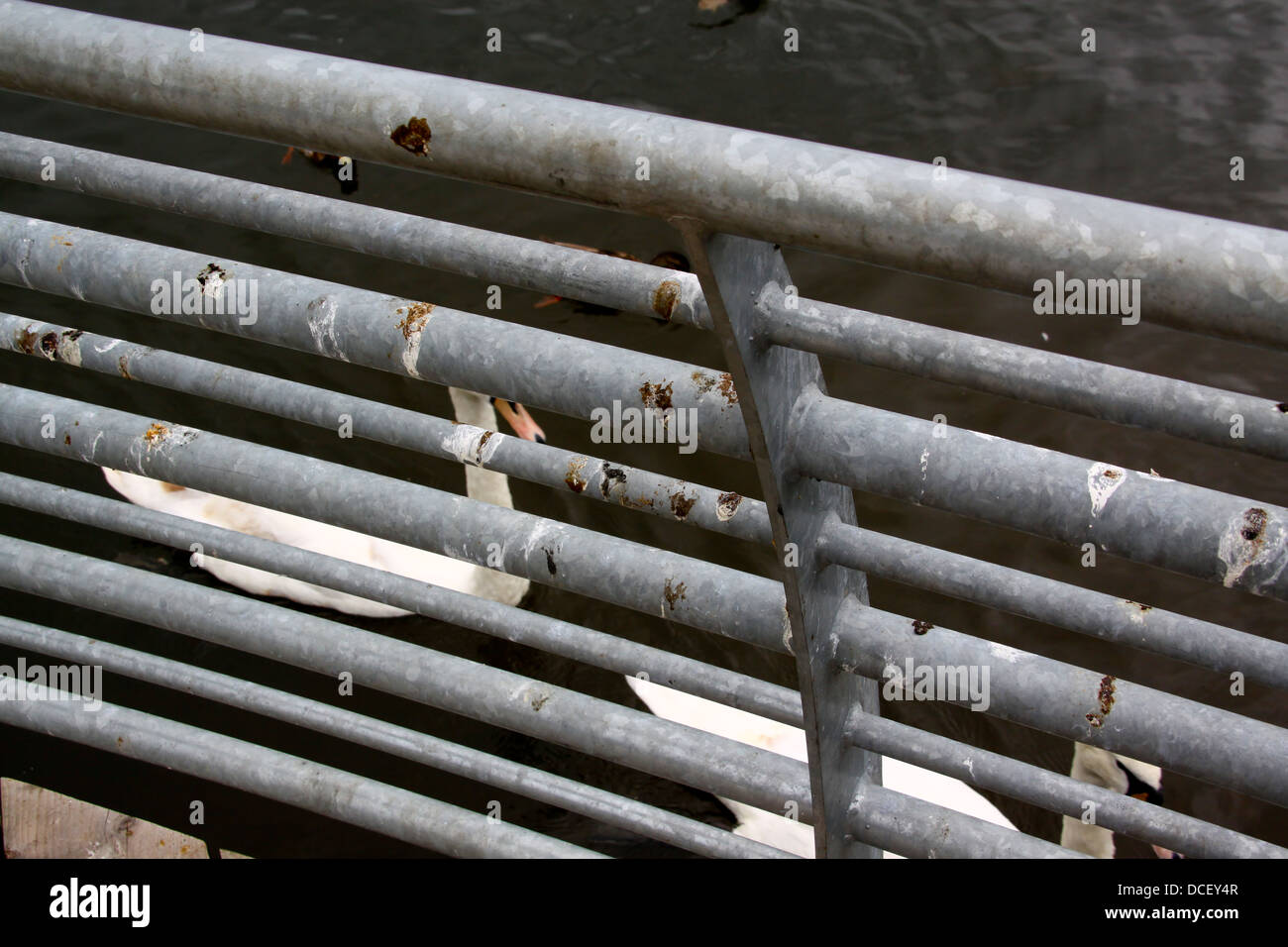 Galvanised railing covered in bird feces Stock Photo