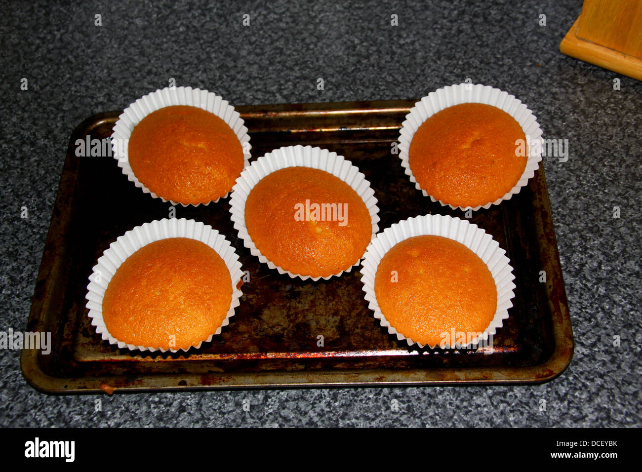 Undecorated home baked fairy cakes in cases on baking tray Stock Photo