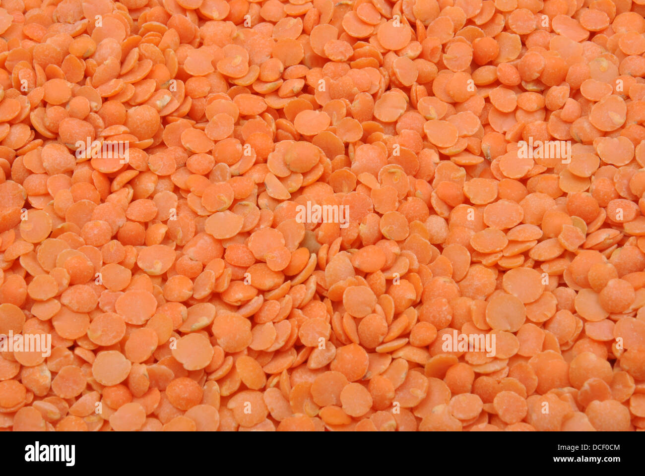 organic red split lentils are good for a soup Stock Photo