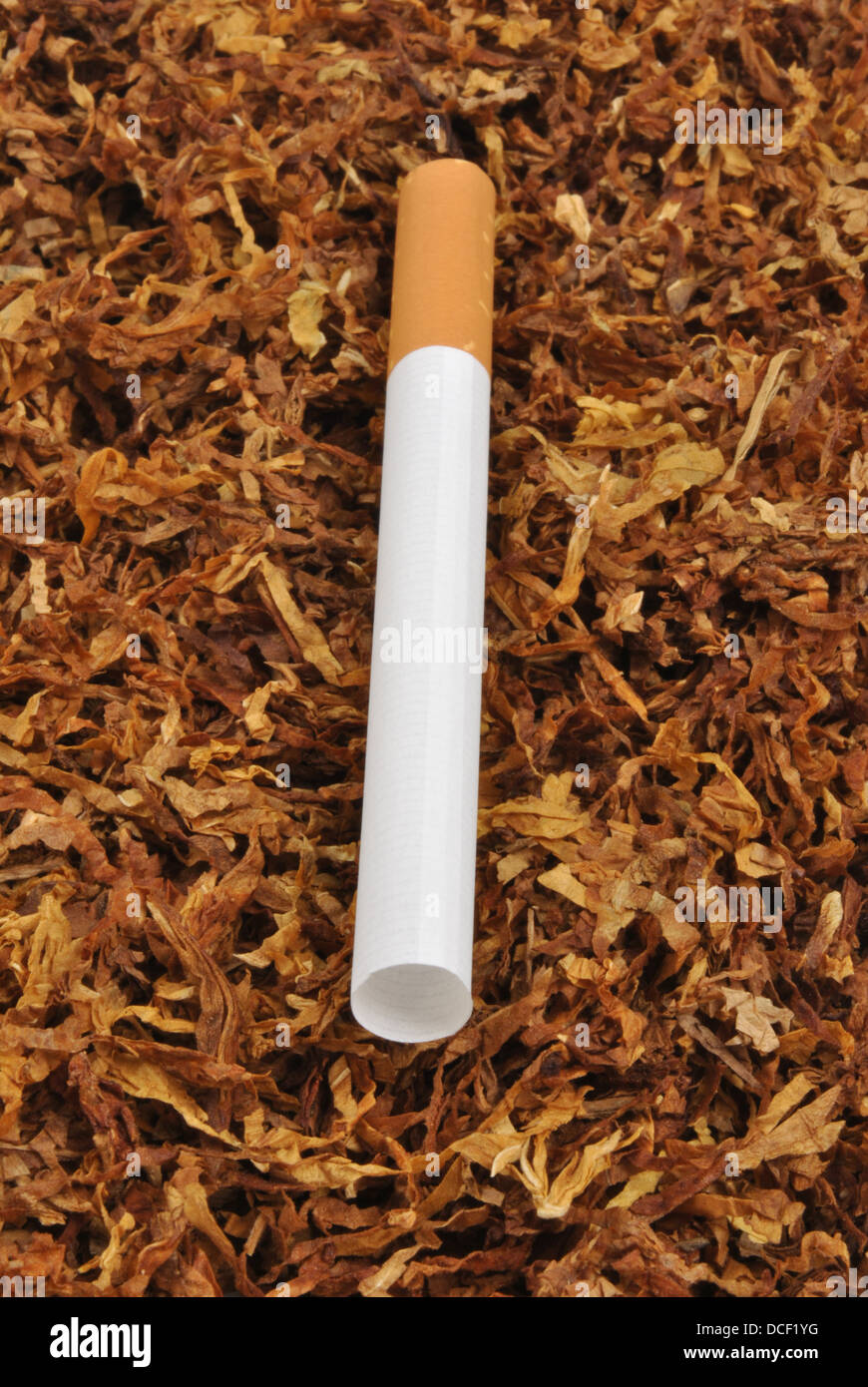 make your own cigarette with organic tobacco Stock Photo Alamy