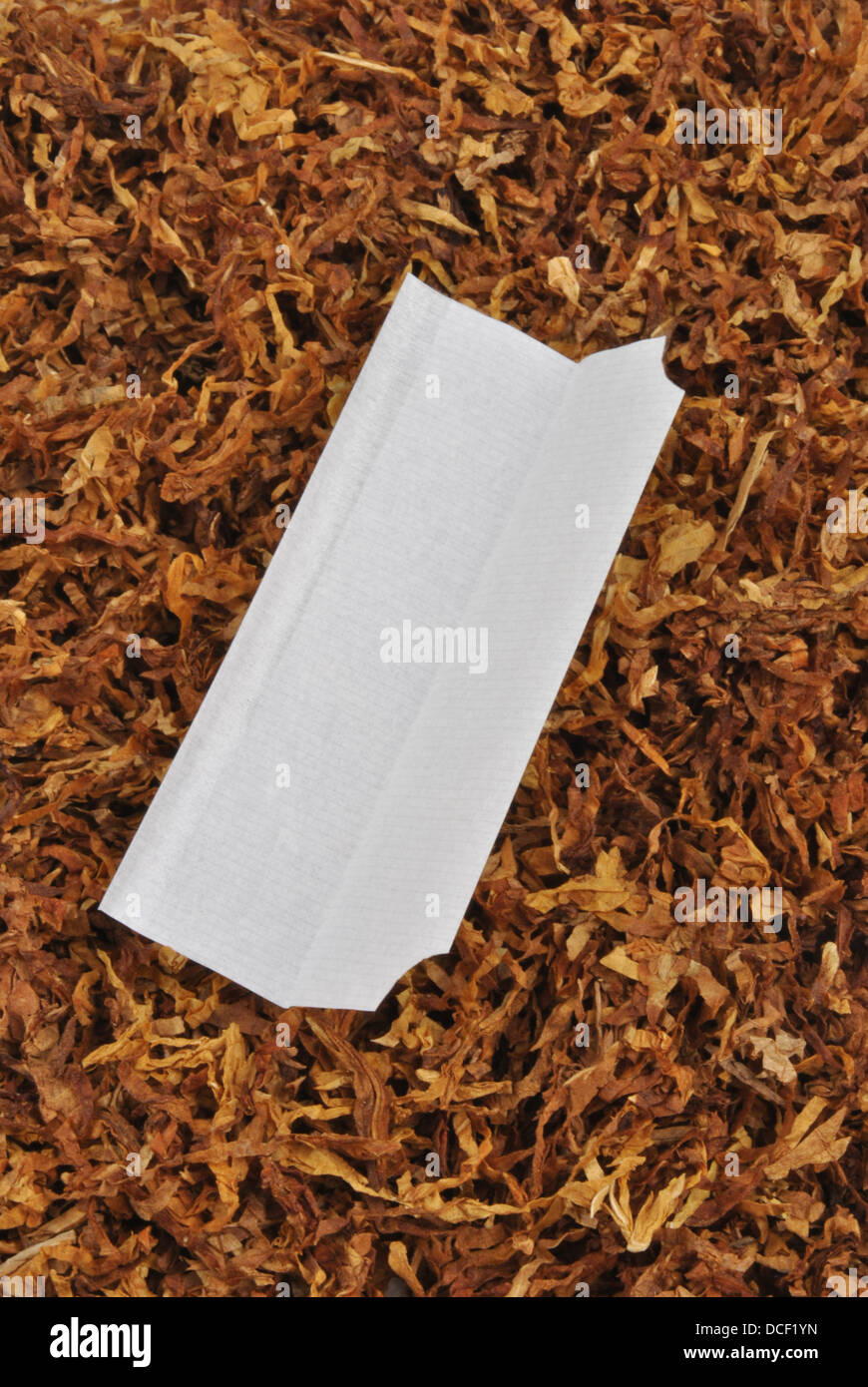 make your own cigarette with organic tobacco Stock Photo Alamy