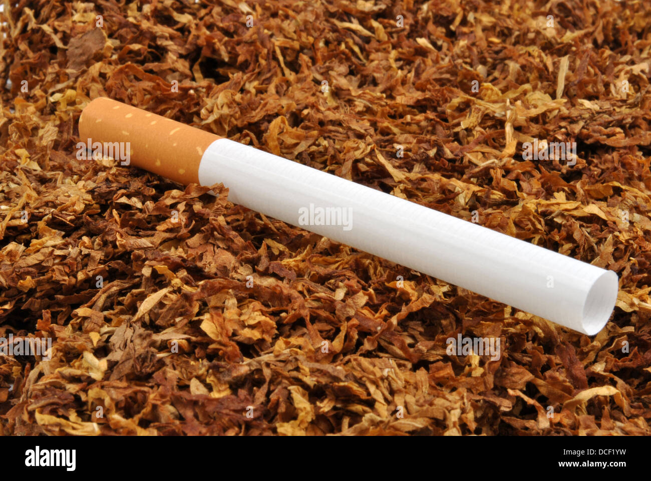covid and smoking cigarettes The controversial effect of smoking and nicotine in SARS-CoV-2 infection |  Allergy, Asthma & Clinical Immunology