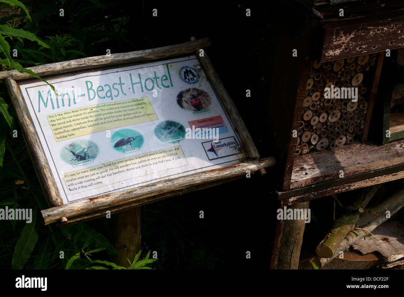 Mini Beast Hotel insect habitat at country park Stock Photo Alamy