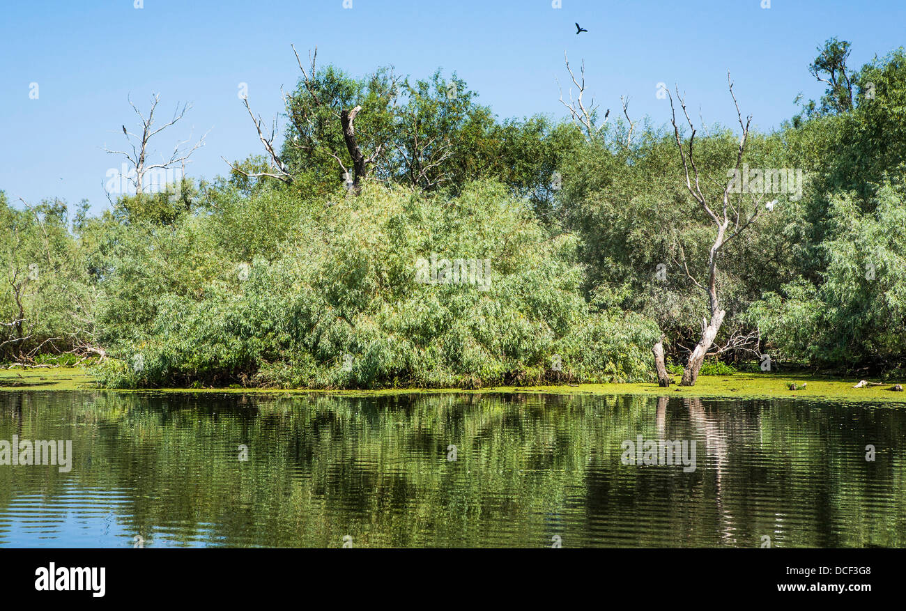 Landscape danube delta romania hi-res stock photography and images - Alamy