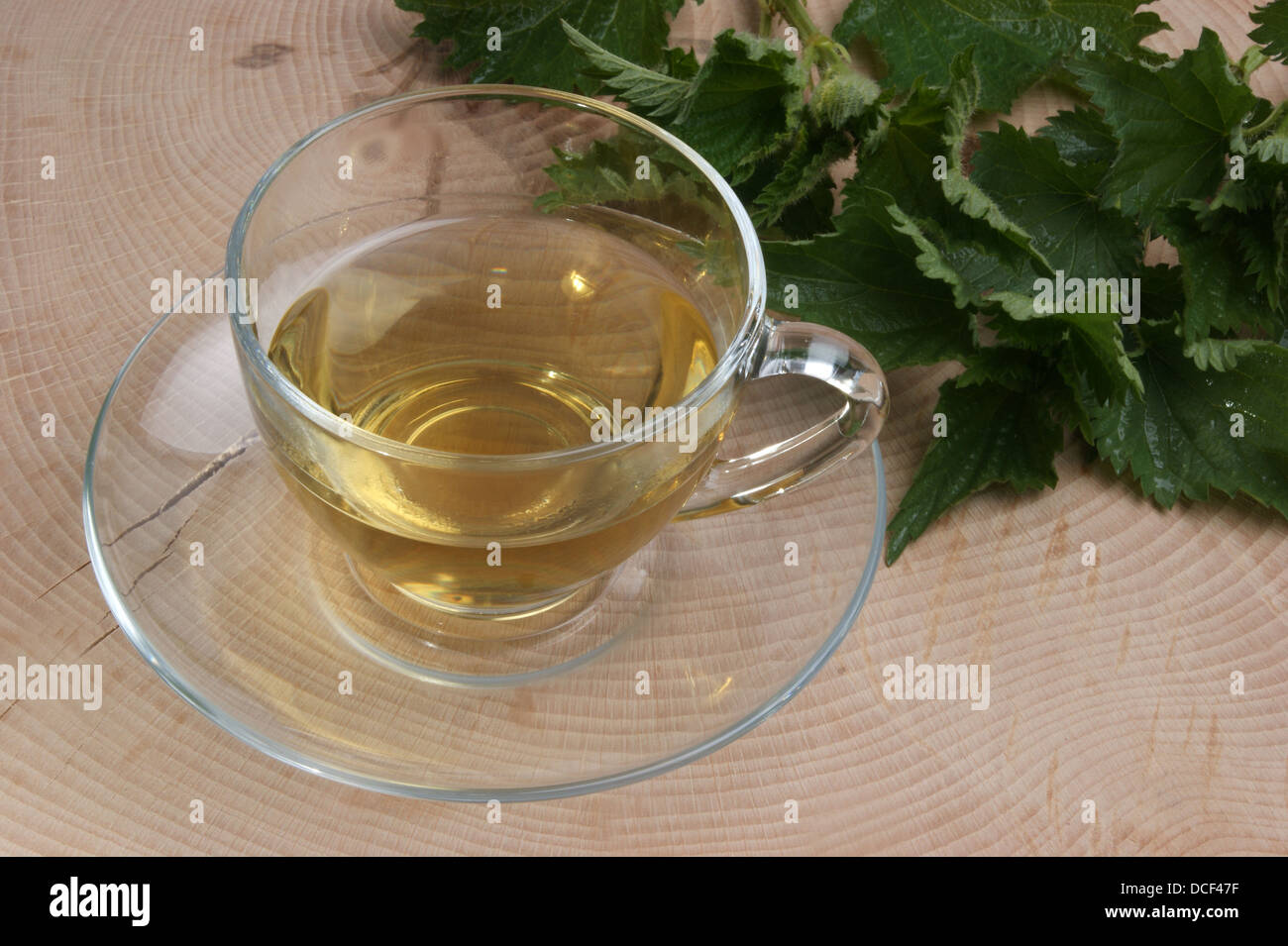 fresh organic herbal tea in a cup Stock Photo - Alamy