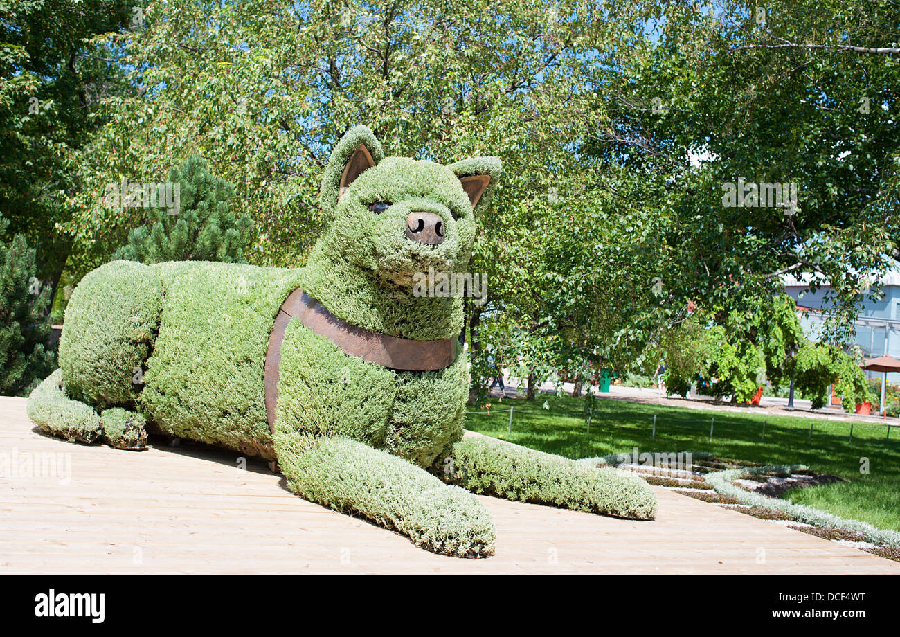 Sculpture of a dog in Japan named Hachiko who waited loyally for his