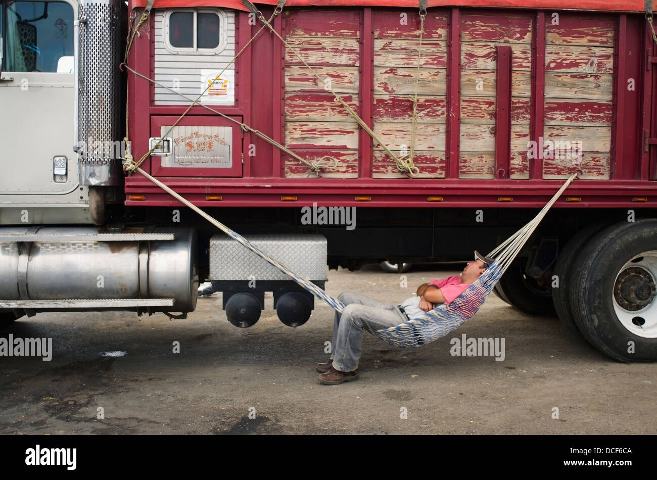 Truck driver sleeping in hammock attached to his truck; Aguascalientes, Mexico Stock Photo