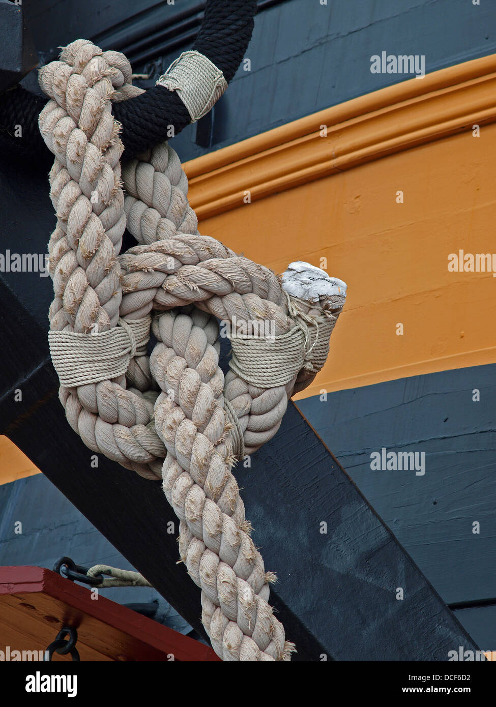 Big Knot Stock Photo