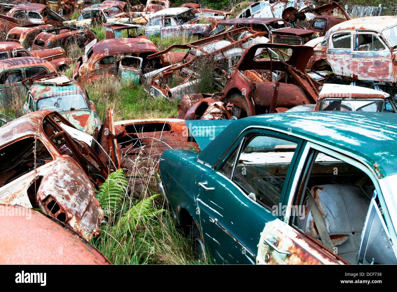 Acres of ground covered with every make of old cars mainly British