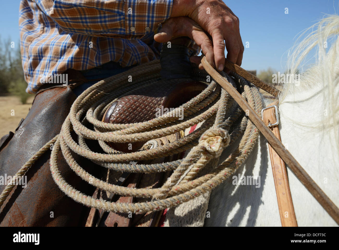 Close-Up Of Cowboy His Rope And His Horse;Arizona Usa Stock Photo