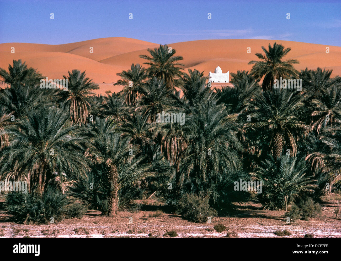 Sand dunes of the Grand Erg Occidental, at the oasis of Taghit in North west Algeria. Stock Photo