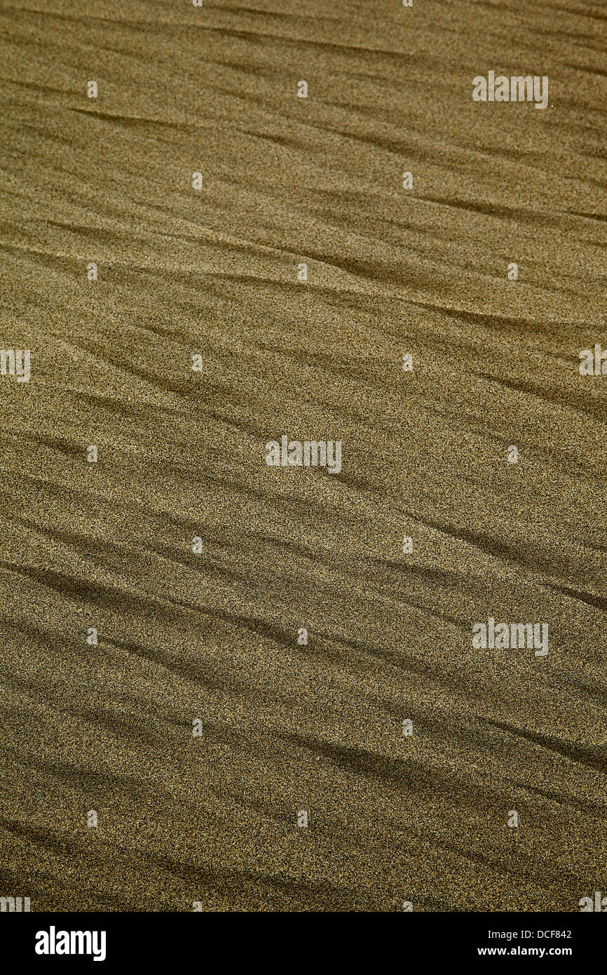 Rippled sand texture ground surface beach stock photo - Texture X
