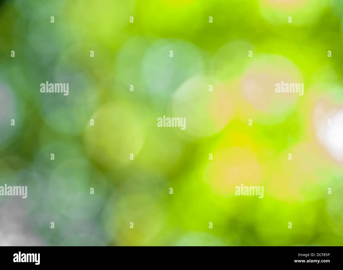 The abstract background of natural light bokeh Stock Photo - Alamy