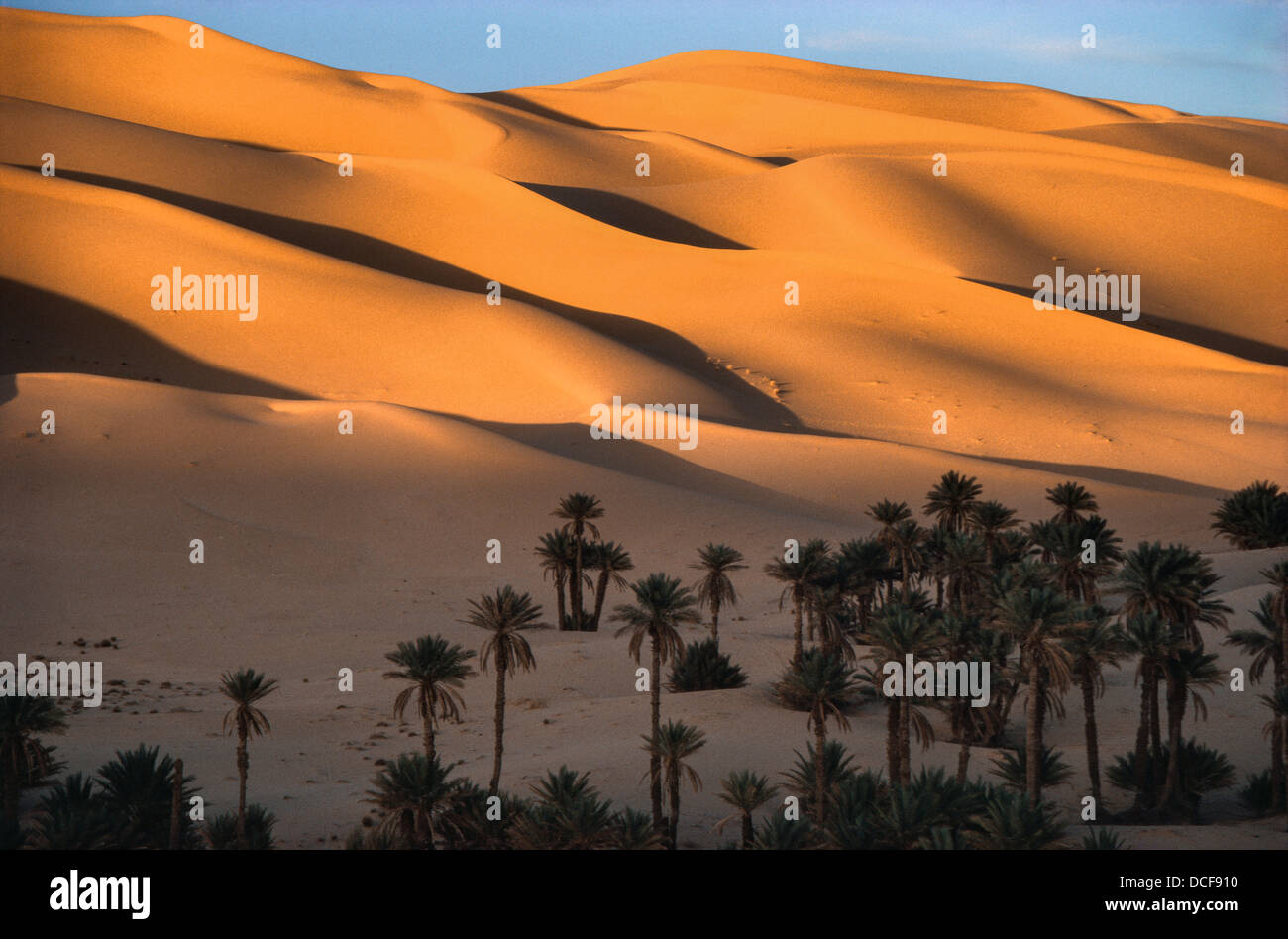 Sand dunes of the Grand Erg Occidental, at sunset, at the oasis of Taghit in North west Algeria. Stock Photo