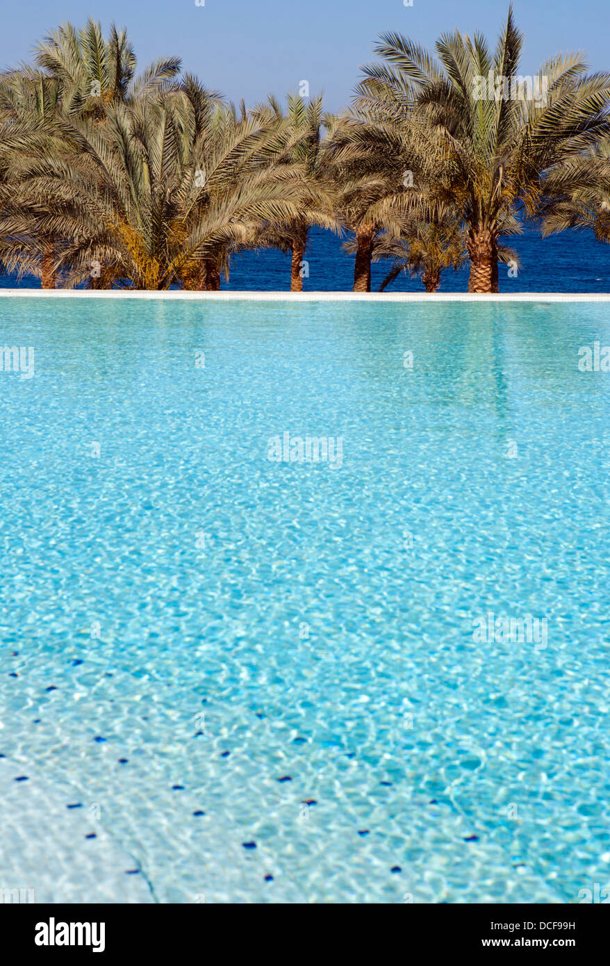 Shallow focus image of an infinity pool,palm trees & red sea in Egypt Stock Photo