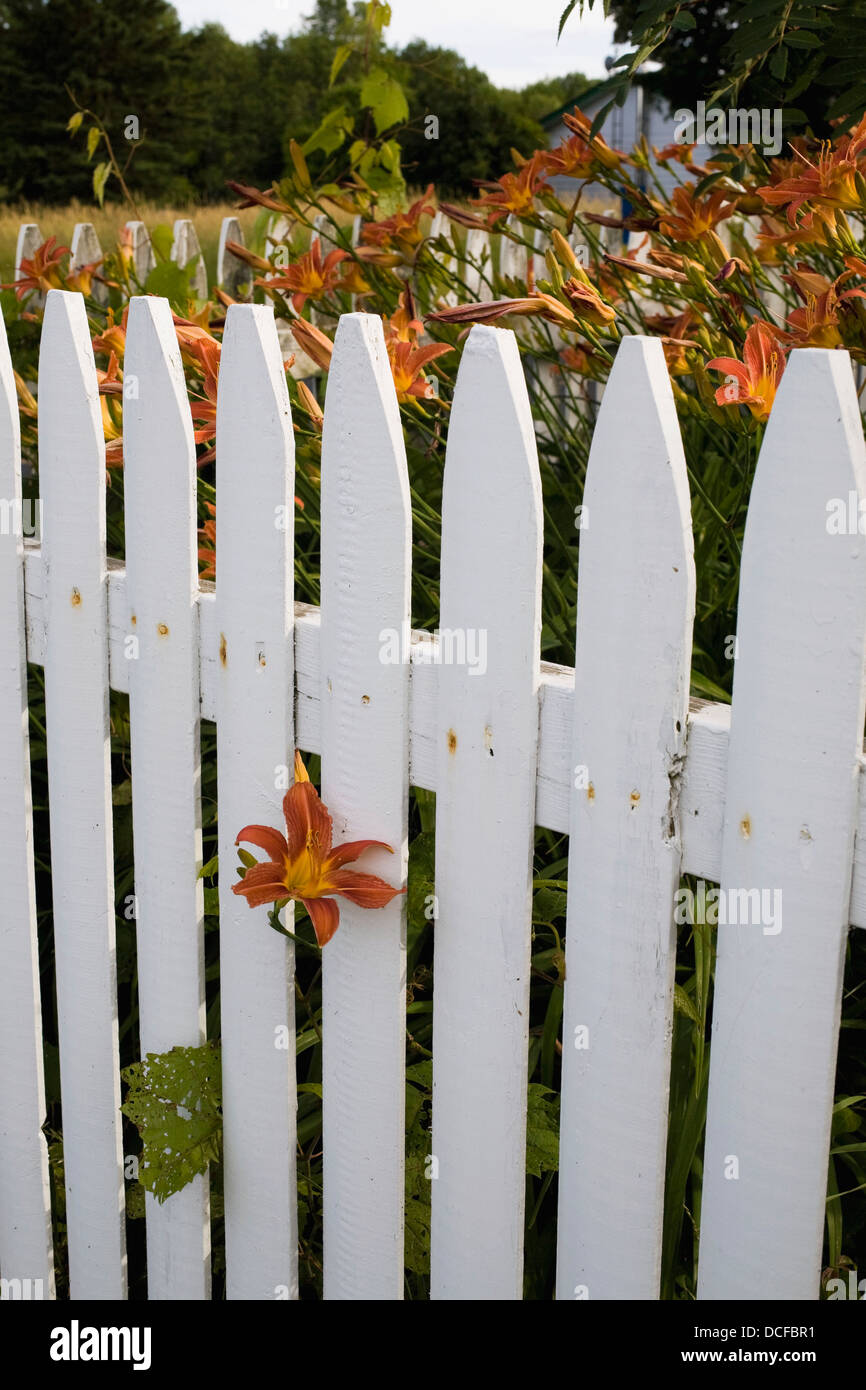 Picket Fence, Quebec, Canada Stock Photo Alamy