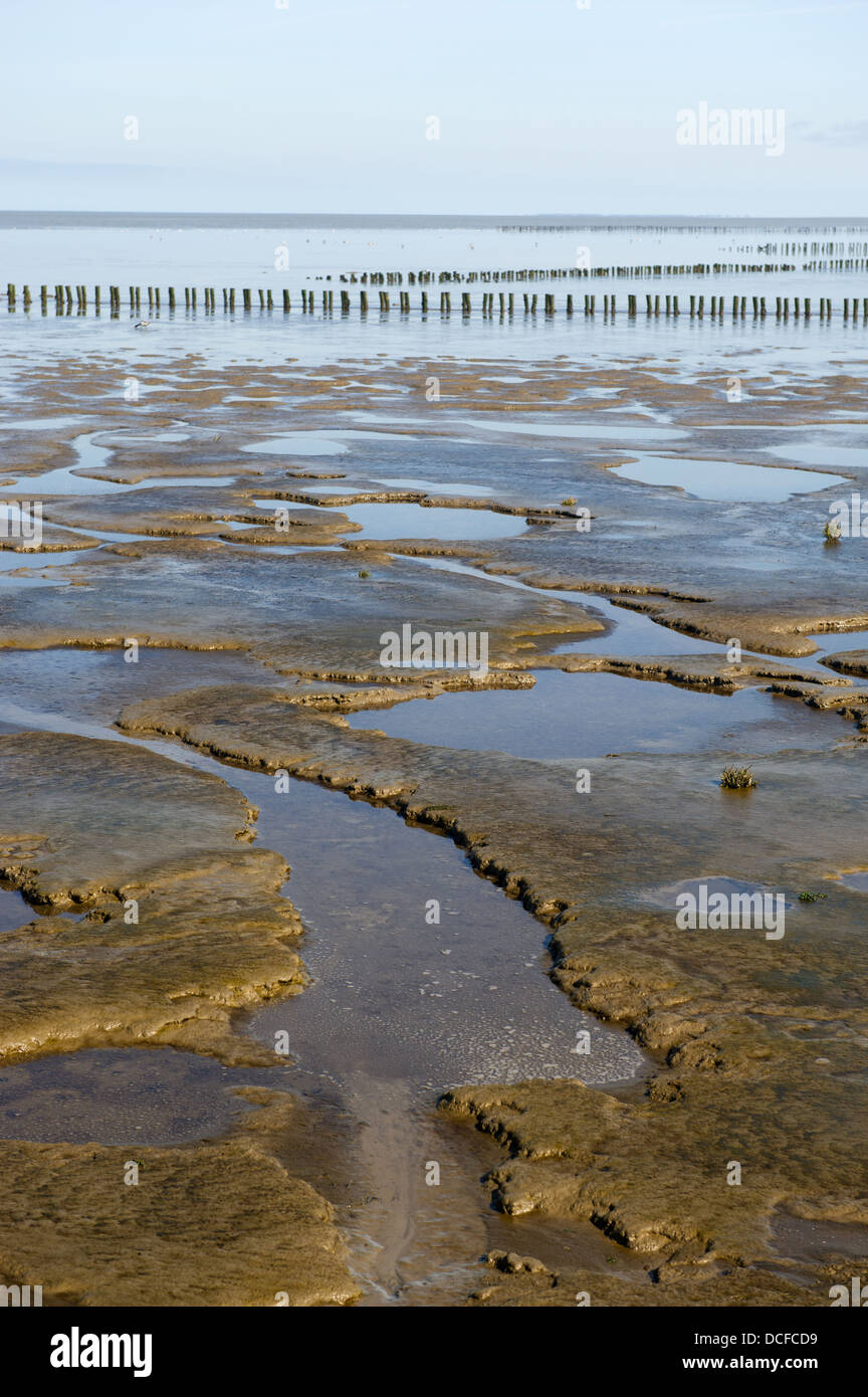 Mudflat Image Tidal mudflat hi-res stock photography and images - Alamy