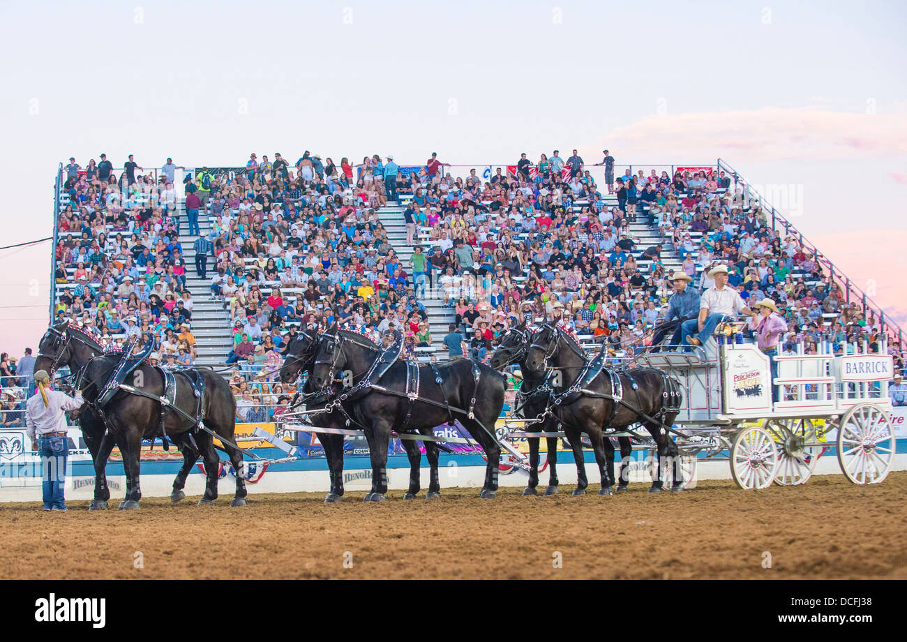 Horsedrawn wagon Participate at the Reno Rodeo a Professional Rodeo