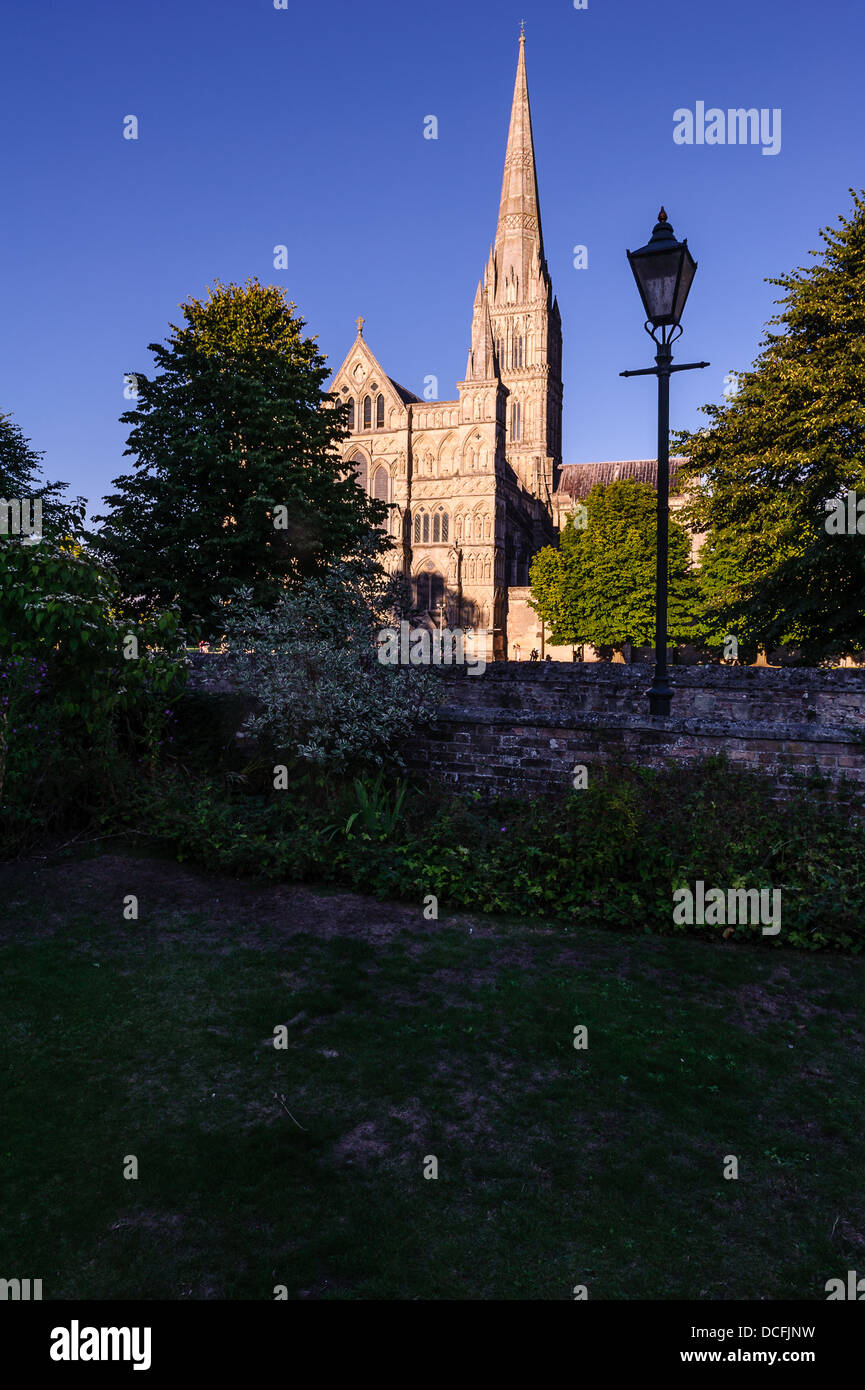 Salisbury Cathedral in evening light viewed from grounds of Salisbury museum with ornate lampost Stock Photo