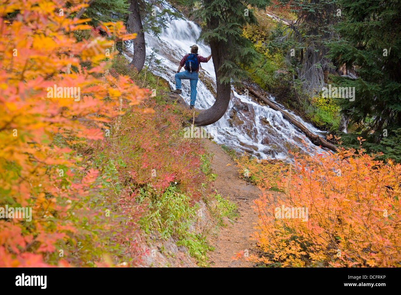 Hiker On Trail At Umbrella Falls In Autumn; Mount Hood National Forest, Oregon, Usa Stock Photo