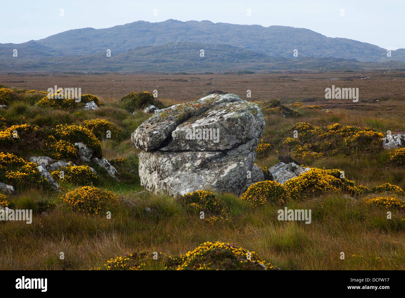 Boulder In Bog; Roundstone, County Galway, Ireland Stock Photo
