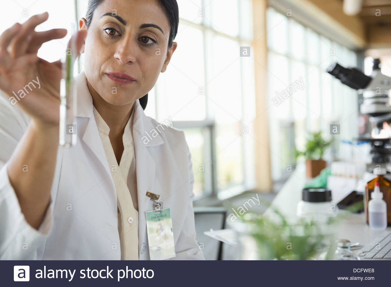 Female botanist examining plant samples Stock Photo