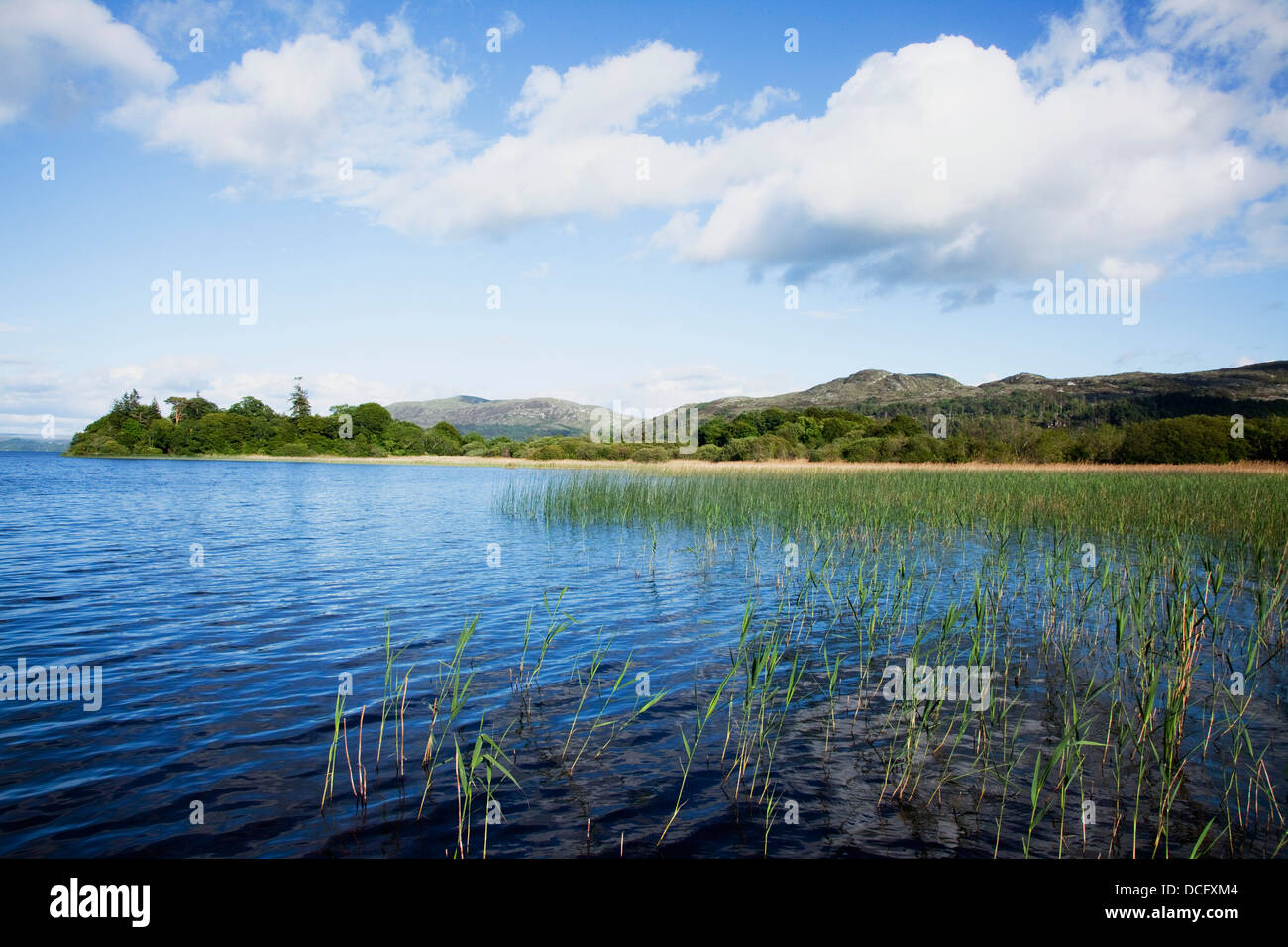 Shoreline Of Lough Gill; Sligo, County Sligo, Ireland Stock Photo Alamy