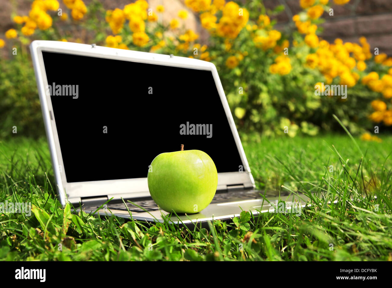 Laptop and apple blank screen Stock Photo - Alamy