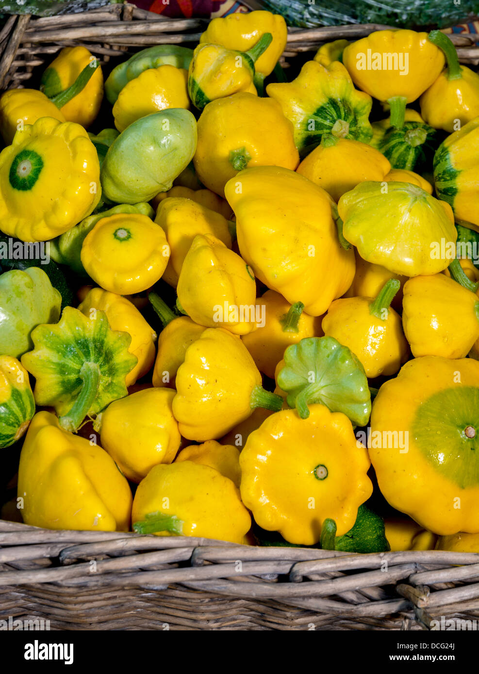 Fresh natural Small Yellow Squash ripe and ready to eat Stock Photo Alamy