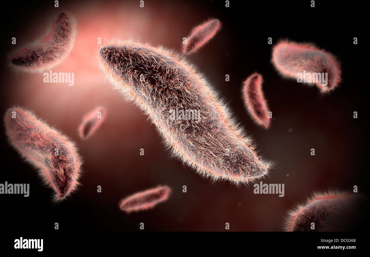 Conceptual image of paramecium. Stock Photo
