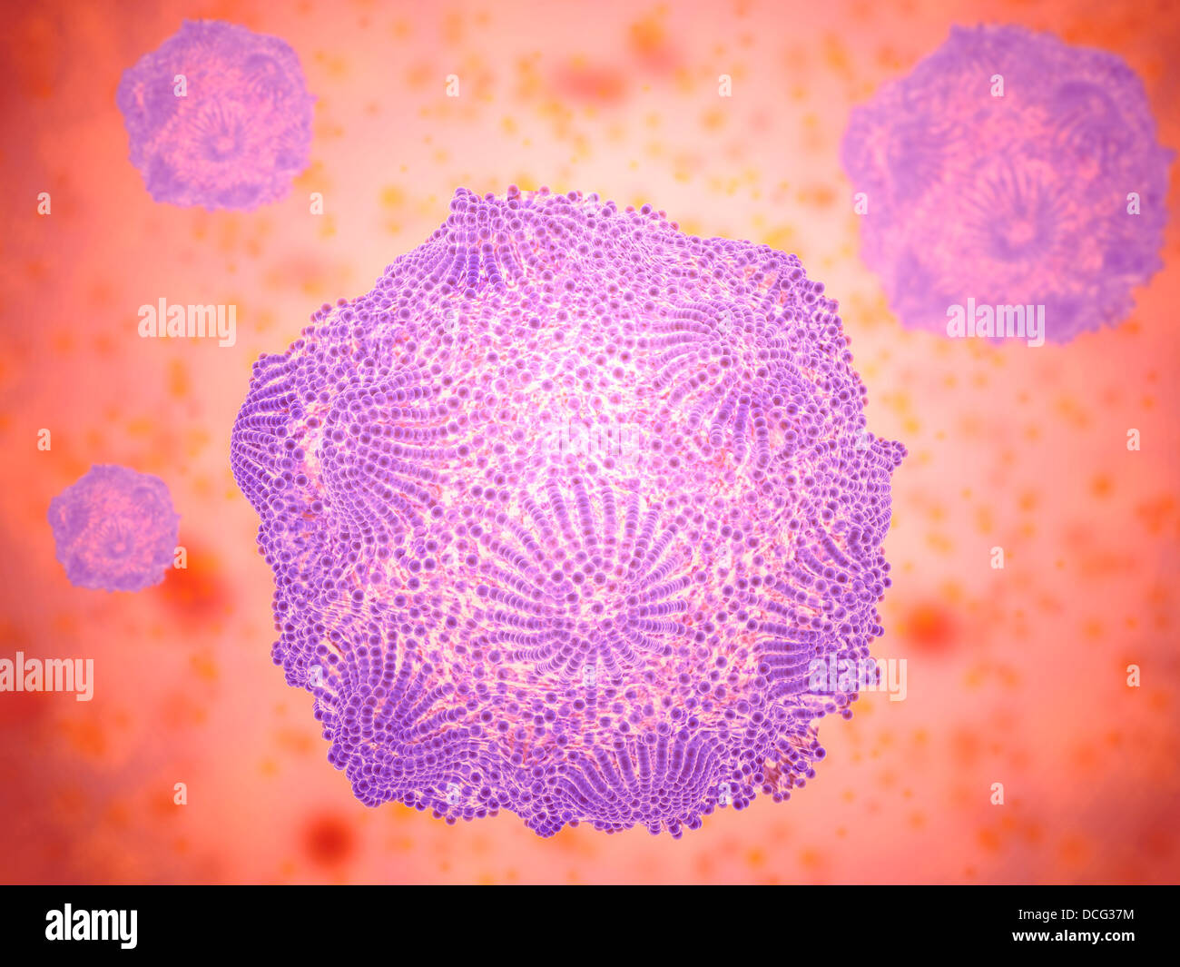 Microscopic view of Canine Parvovirus Stock Photo