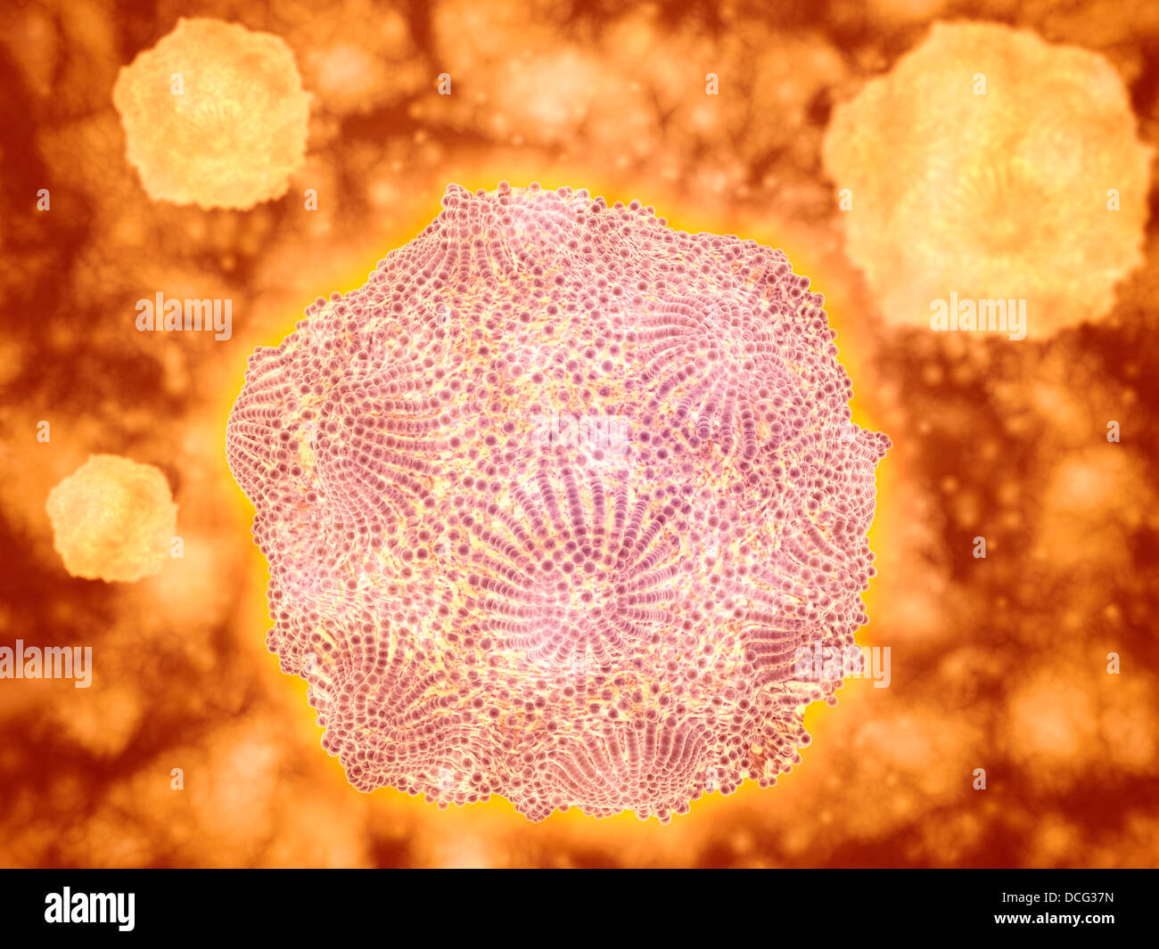 Microscopic view of Canine Parvovirus. Stock Photo