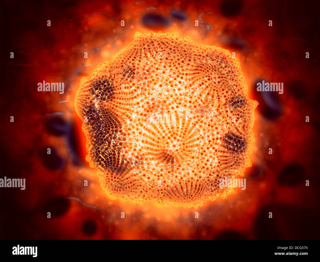 Microscopic view of Canine Parvovirus. Stock Photo