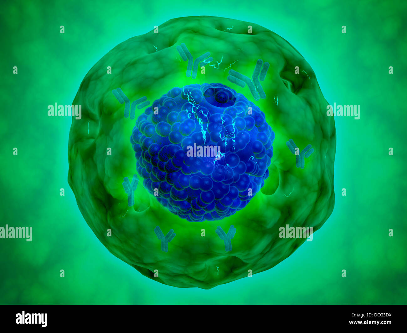 Cell nucleus with chromosome. The cell nucleus helps control eating, movement, and reproduction. Stock Photo