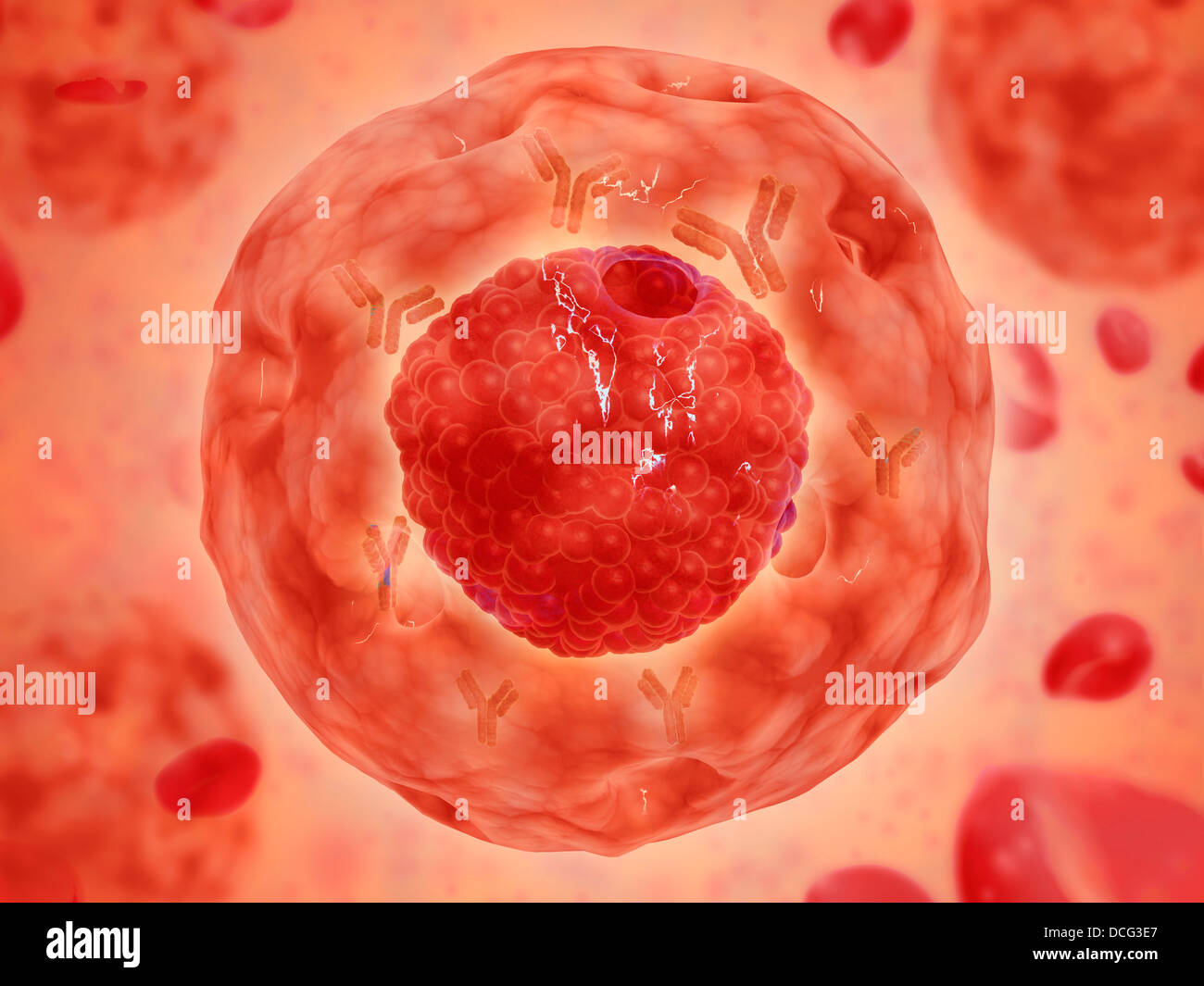 Cell nucleus with chromosome. The cell nucleus helps control eating, movement, and reproduction. Stock Photo