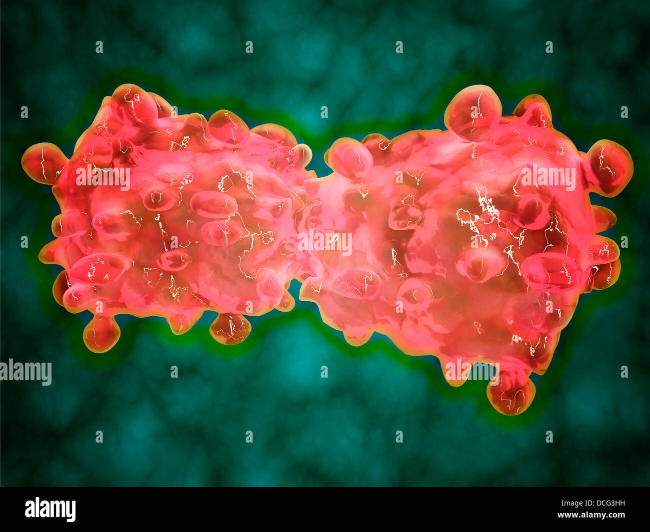 Microscopic view of a leukemia cell. Stock Photo