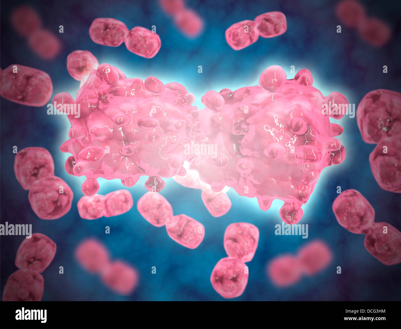Microscopic view of a group of leukemia cell. Stock Photo