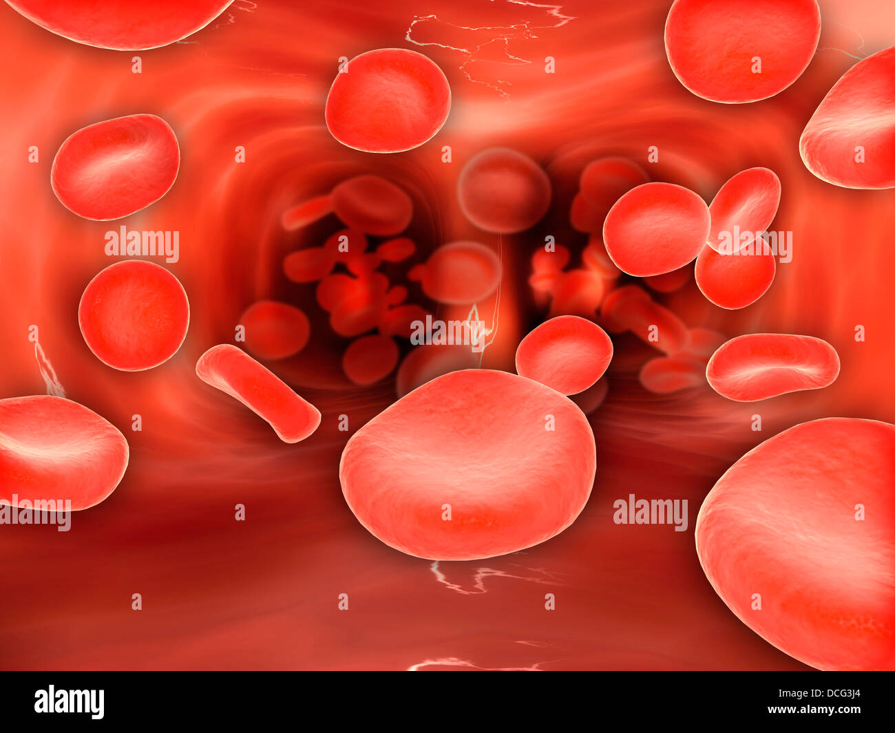 Microscopic view of red blood cells flowing inside lungs. Stock Photo