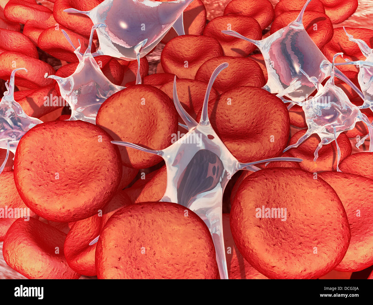 Conceptual image of red blood cells with platelets. Stock Photo