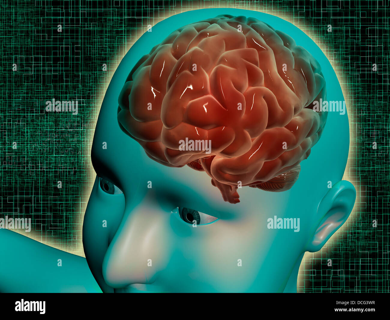 Conceptual image of female body with brain, side view. Stock Photo