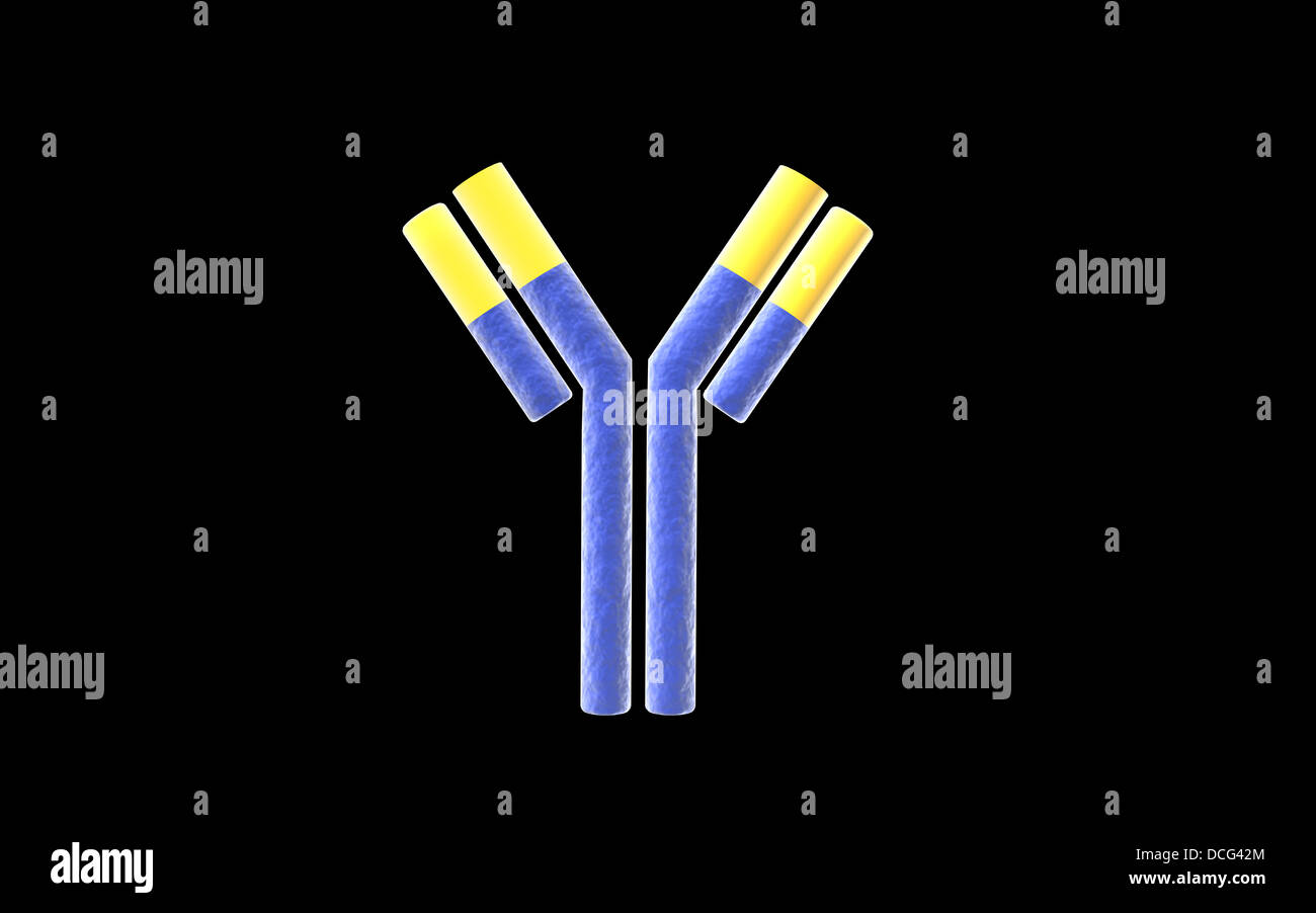 Antibody immune symbol hi-res stock photography and images - Alamy